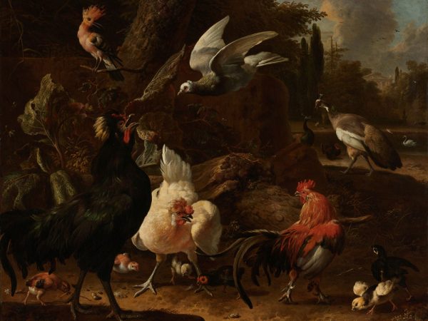 RS11-Melchior-d'Hondecoeter---Vogels-in-een-park.png