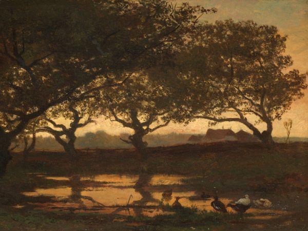 RS18-Gerard-Bilders---Bosvijver-bij-zonsondergang.png