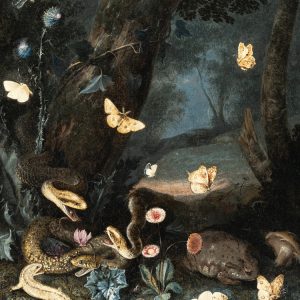 RS53-Otto-Marseus-van-Schrieck---Three-snakes,-lizard-and-toad-(1663).png