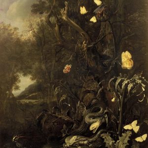 RS55-Otto_Marseus_van_Schrieck_-_Planten_en_Insekten,_1665.png