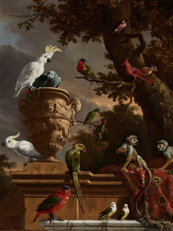 RS56-Melchior-d'Hondecoeter---De-menagerie.png
